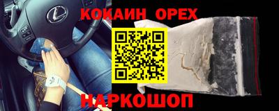крисы Будённовск